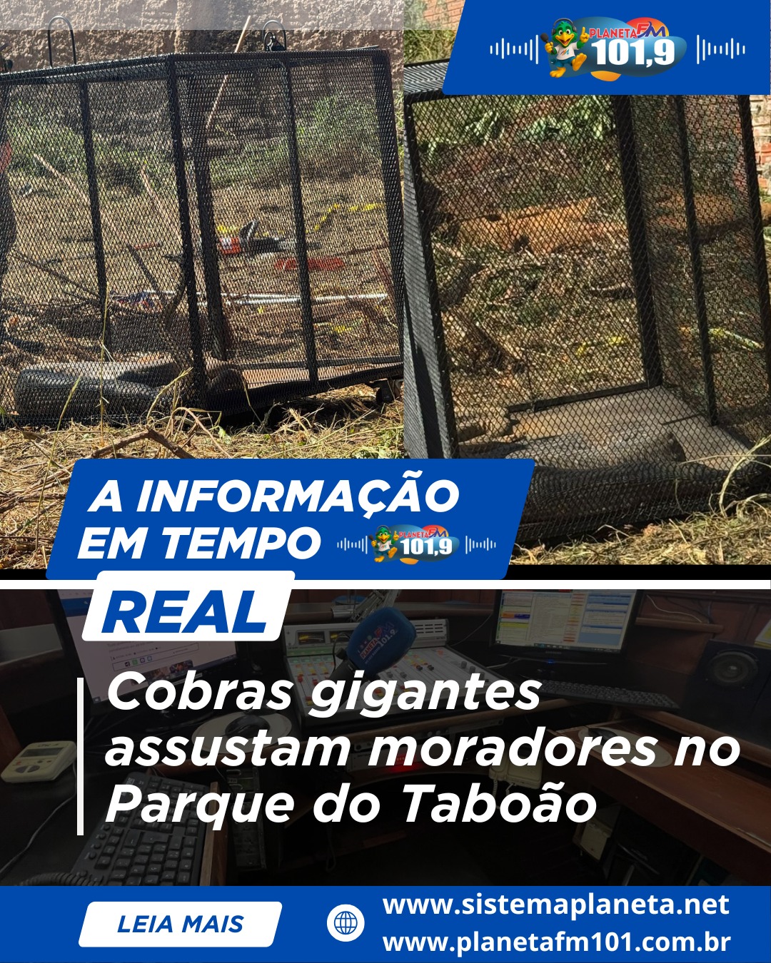 Cobras gigantes assustam moradores no Parque do Taboão