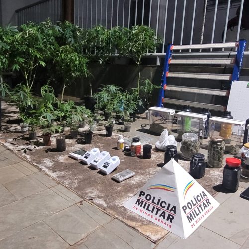 Estufa de maconha leva irmãos à prisão em Patos de Minas