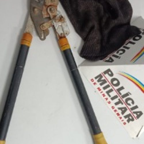 Tentativa de Furto Frustrada: Polícia Militar Prende Suspeito em Lagoa Formosa