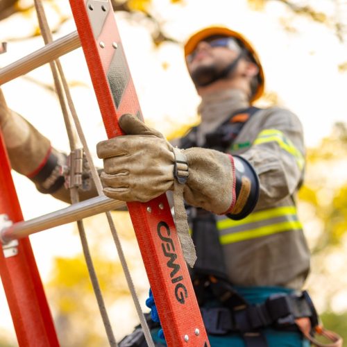 Cemig esclarece cinco conceitos populares sobre energia utilizados incorretamente 