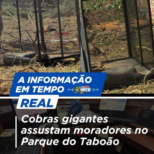 Cobras gigantes assustam moradores no Parque do Taboão