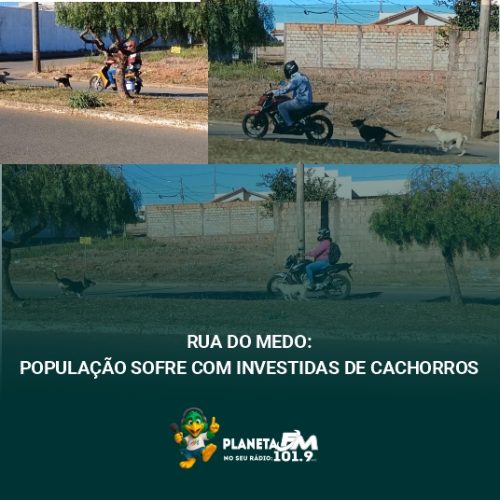 Perigo nas Ruas! População pede socorro!