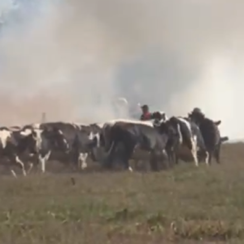 Incêndio destrói dois veículos durante evento comunitário na BR-354