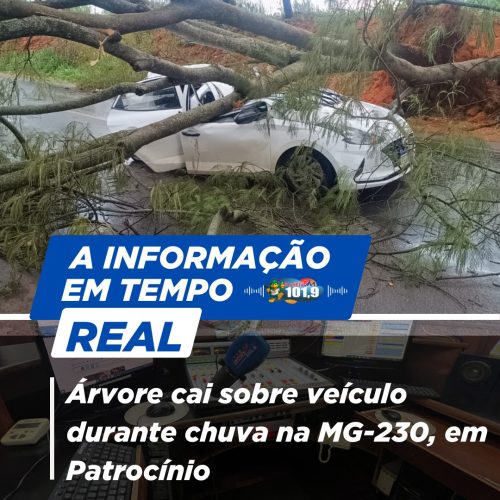 Árvore cai sobre veículo durante chuva na MG-230, em Patrocínio