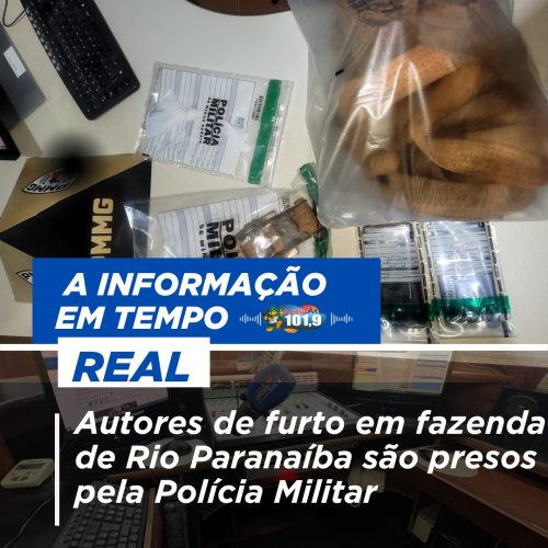 Autores de furto em fazenda de Rio Paranaíba são presos pela Polícia Militar