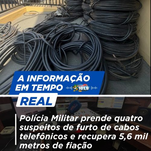 Polícia Militar prende quatro suspeitos de furto de cabos telefônicos e recupera 5,6 mil metros de fiação