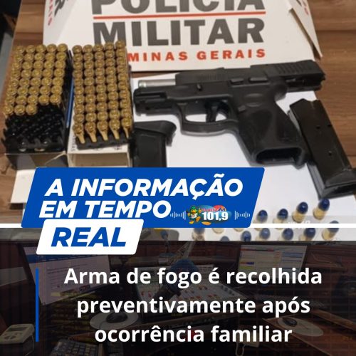 Arma de fogo é recolhida preventivamente após ocorrência familiar