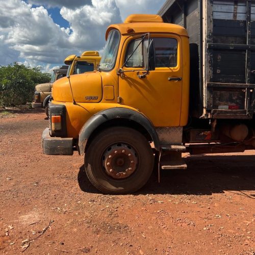 Operação conjunta entre a Polícia Militar de Minas Gerais, Polícia Civil de Minas Gerais e polícia Militar de Goiás, Recupera parte Gado Roubado e Prende Criminosos em Tempo Recorde