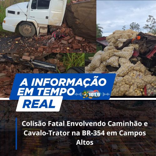 Colisão Fatal Envolvendo Caminhão e Cavalo-Trator na BR-354 em Campos Altos