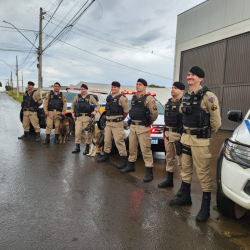 Operação Carga Pesada desarticula quadrilha especializada em roubo de cargas