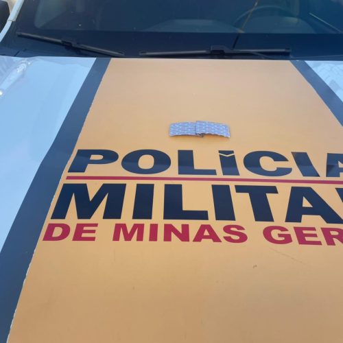 Operação Última Parada: Prisão de Suspeito por Tráfico de Drogas na BR-352
