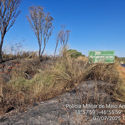 Crime Ambiental é Flagrado na MG-230