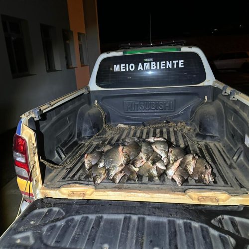 Operação de Combate à Pesca Predatória Resulta em Prisões e Apreensões no Rio Espírito Santo